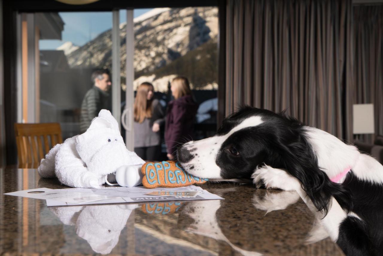 Copperstone Resort By Clique Canmore Eksteriør bilde